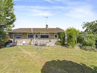 Picture 20